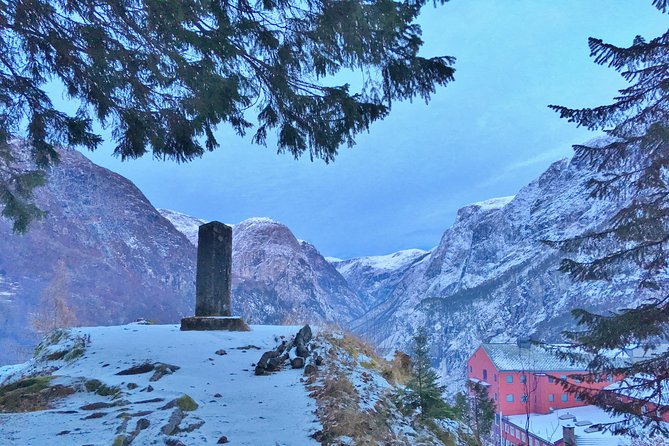 PRIVATE GUIDED TOUR: Norway's Highlights – Viking Special, 11-12 hours – WINTER - What private transport adds