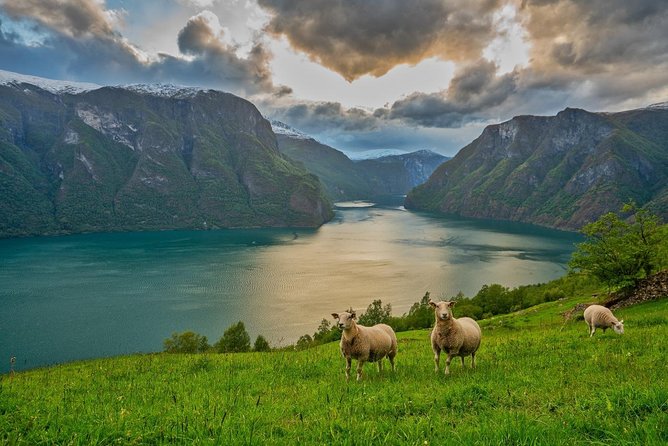 PRIVATE GUIDED TOUR: Norway's Highlights–Viking Special, 11 h - Tvindefossen, a close look at a 110-meter waterfall