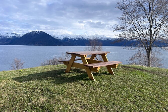Private Guided Tour of Bergen and the Best of Norwegian Fjords - A short ferry ride across Hardangerfjord