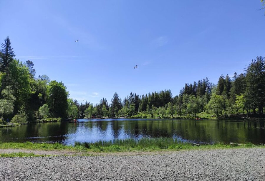 Private hiking tour Bergen mountains like a local - Choosing between a gentle path and a harder climb