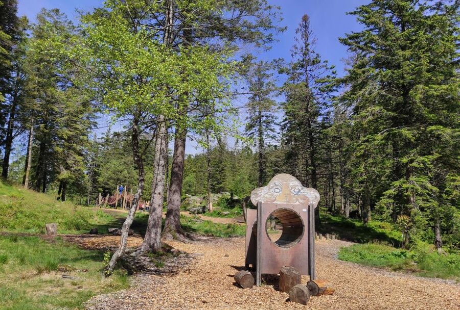 Private hiking tour Bergen mountains like a local - Guides, languages, and the value of a private group