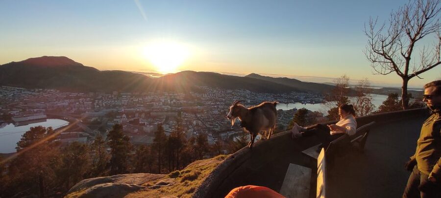 Private hiking tour Bergen mountains like a local - Meeting by Godt Brød and riding Mount Fløyen