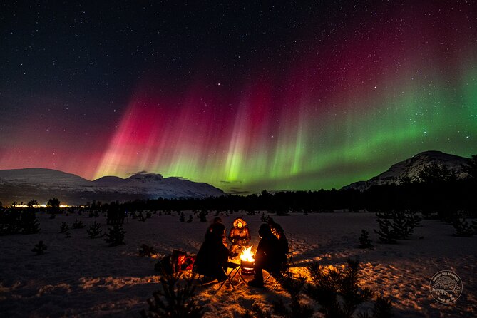 Private Northern Lights Chase with Photography from Tromsø - Getting northern lights photos without carrying a full kit