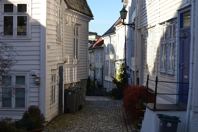PRIVATE TOUR: Bergen city sightseeing, 3 hours - What the guides add to the ride