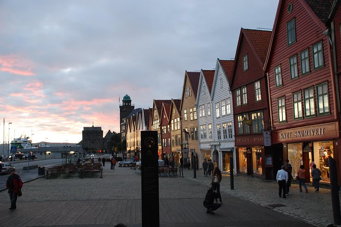 PRIVATE TOUR: Bergen city sightseeing, 5 hours - The custom option and Mount Ulriken