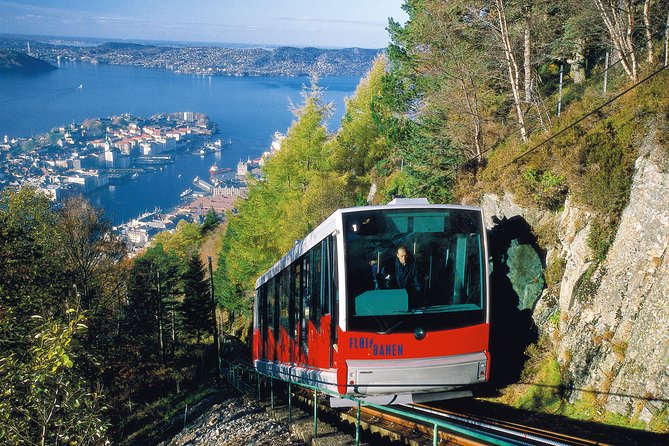 PRIVATE TOUR: Bergen city sightseeing, 5 hours - The guide makes the difference