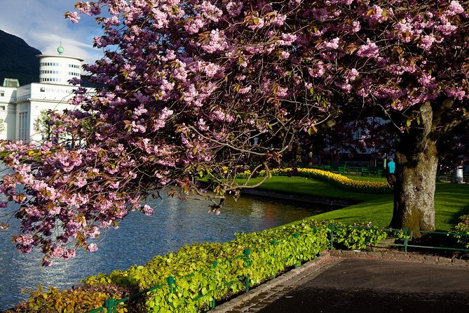 PRIVATE TOUR: Bergen city sightseeing, 5 hours - Choosing between Troldhaugen, Fantoft, and Gamlehaugen