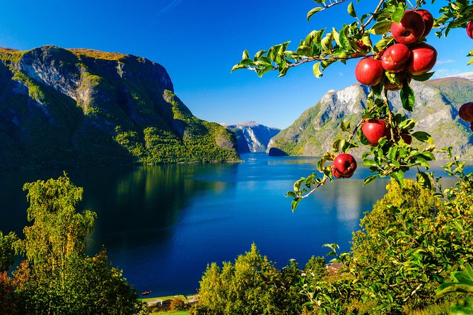 Private tour, Bergen to Oslo - Nærøyfjord Cruise & Flåm Railway - From Myrdal across Hardangervidda