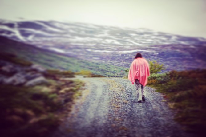 Private tour Geiranger and Glaciers 1 to 15 people - Briksdalbreen and the included troll car ride