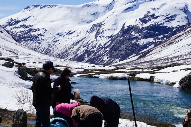 Private tour Geiranger and Glaciers 1 to 15 people - The Old Strynefjell Road takes you into older mountain country