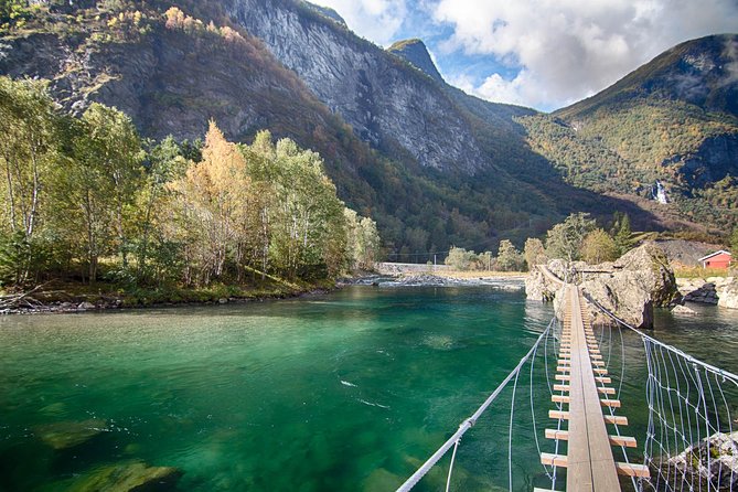 Private tour to Sognefjord and Flåm from Bergen, 24 hr refundable - What the private guide adds