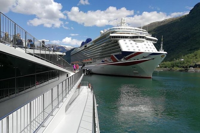 Private tour - Viking Village, Nærøyfjord Cruise and Flåm Railway - Njardarheimr brings the Viking Age to Gudvangen