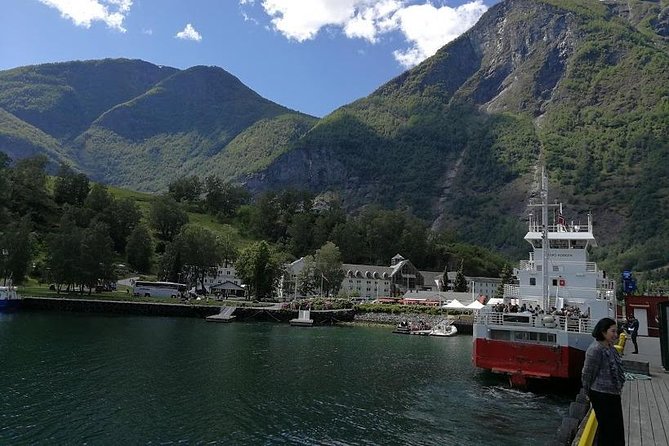 Private tour - Viking Village, Nærøyfjord Cruise and Flåm Railway - Cruising the narrow Nærøyfjord