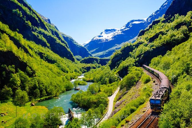 Private tour - Viking Village, Nærøyfjord Cruise and Flåm Railway - Flåm and the famous railway climb