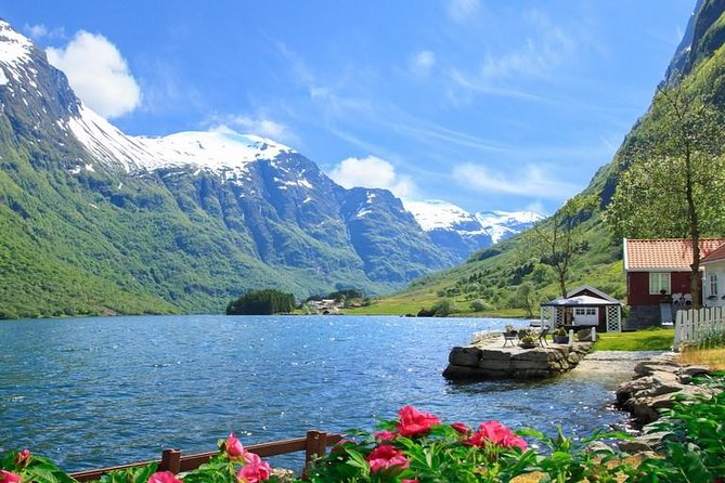 Private tour - Viking Village, Nærøyfjord Cruise and Flåm Railway - Myrdal to Voss on the Bergen Railway