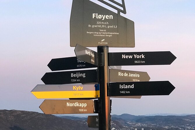 Private Walking Tour- Bergen Classics - Walking, timing, and practical planning