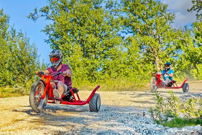 Racing Mountain Cart in Dagali near Geilo, Norway - How much value you get for $48.88