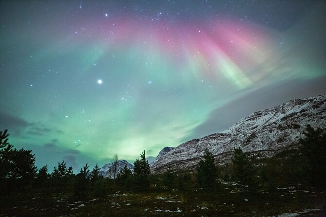 Reindeer Feeding and Sledding, Sami Storytelling Night Tour - Leaving Tromso at 5 p.m.