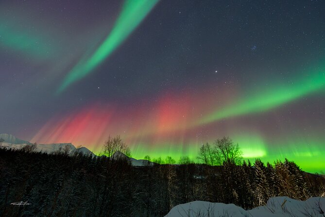 Reindeer Feeding and Sledding, Sami Storytelling Night Tour - Lasso throwing and the Sami camp