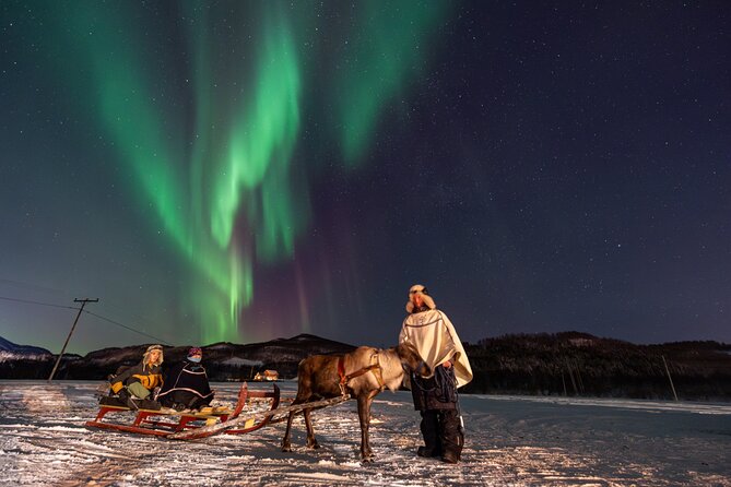 Reindeer Feeding and Sledding, Sami Storytelling Night Tour - Sami storytelling beside the fire