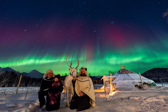 Reindeer Feeding and Sledding, Sami Storytelling Night Tour - Looking for the Northern Lights