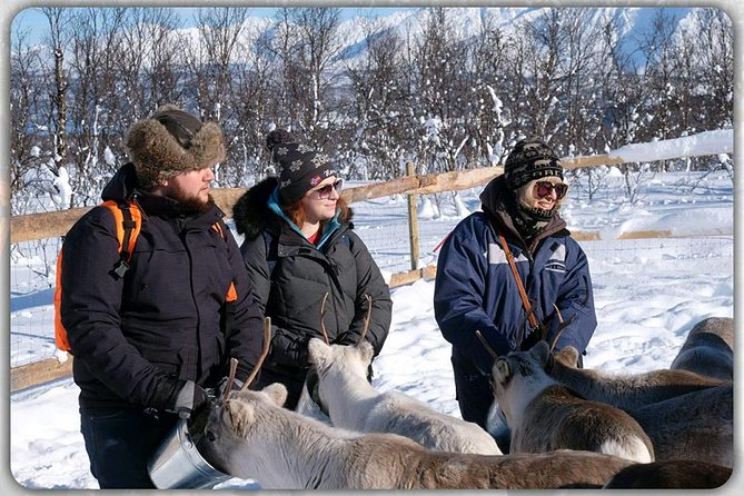 Reindeer feeding & Saami Culture - Sámi stories from Kristian, Michael, Ayli, and Jon Mikkel