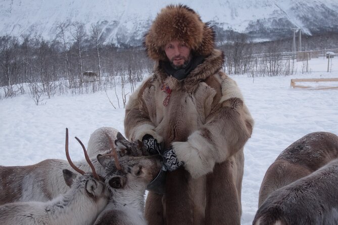 Reindeer feeding & Saami Culture - Weather, clothing, and comfort