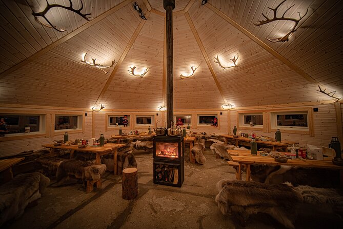 Reindeer feeding & Saami Culture with chance for Northern Lights - Key points to know before you book