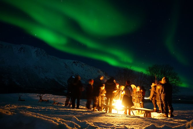 Reindeer feeding & Saami Culture with chance for Northern Lights - Warm up inside the wooden lavvu