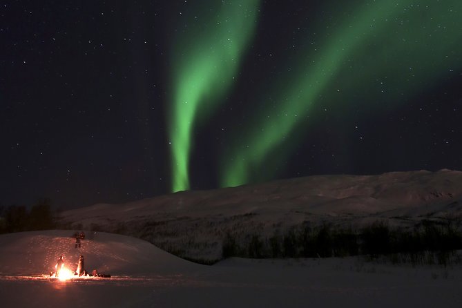 Reindeer feeding & Saami Culture with chance for Northern Lights - Booking details that can save your evening