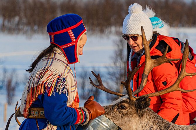 Reindeer feeding & Saami Culture - Why the reindeer visit feels more than a photo stop
