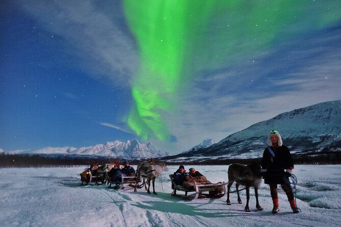 Reindeer Sledding and Feeding with Chance of Northern Lights Tromso - The ride from Fredrik Langes gate