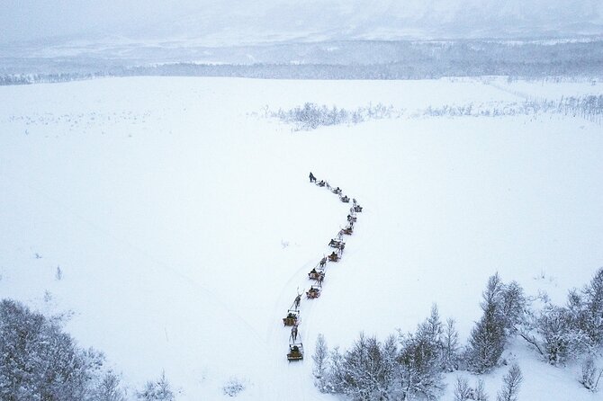 Reindeer Sledding and Feeding with Sami Culture in Tromso. - Key points to know before you book