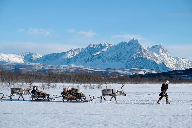 Reindeer Sledding and Feeding with Sami Culture in Tromso. - Food, fire, and a warm break