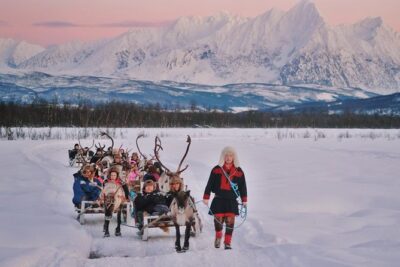 Reindeer Sledding and Feeding with Sami Culture in Tromso.