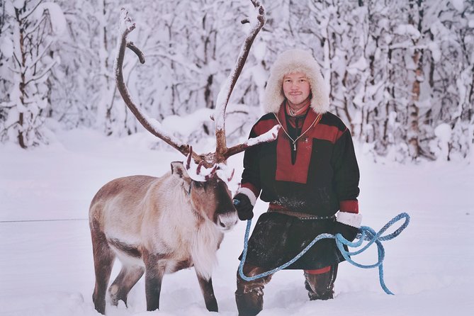 Reindeer Sledding and Feeding with Sami Culture in Tromso. - What the Sámi cultural talk adds