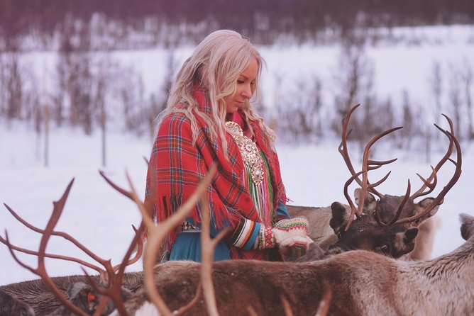 Reindeer Sledding and Feeding with Sami Culture in Tromso. - Group size, pace, and the mass-tourism question
