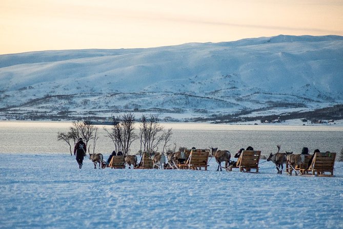 Reindeer Sledding Experience and Sami Culture Tour from Tromso - The sleigh ride is calm, scenic, and not a private expedition
