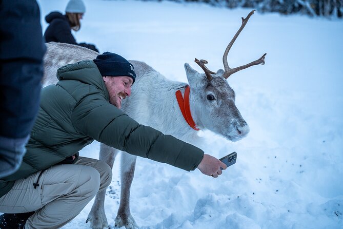 Reindeer Sledding, Feeding And Sami Culture At Reindeer Farm - Sámi stories around the fire