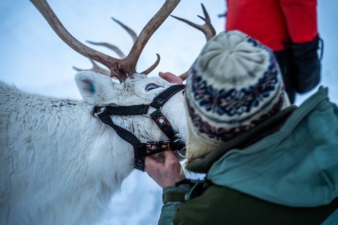 Reindeer Sledding, Feeding And Sami Culture At Reindeer Farm - Warm clothing and practical comfort