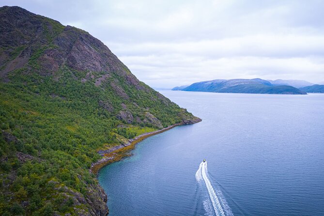 RIB Expedition to Seiland National Park - 3.5h - Wildlife possibilities around the island