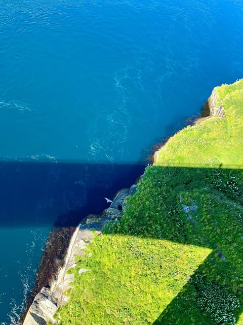 Saltstraumen: Arctic Adventure and Scenic Journey - Understanding the tide instead of chasing a guarantee