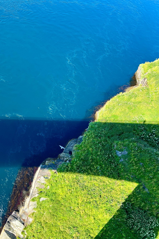 Saltstraumen: Arctic Adventure and Scenic Journey - Daniel’s guiding style and the personal touch