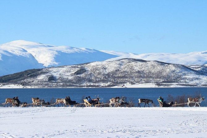 Sami Culture and Short Reindeer Sledding from Tromso - Weather, Cancellations, and What to Wear