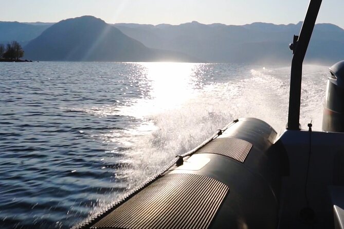 Scenic RIB adventure to Hardangerfjord & Fyksesund from Øystese - The guide and the balance of action and information