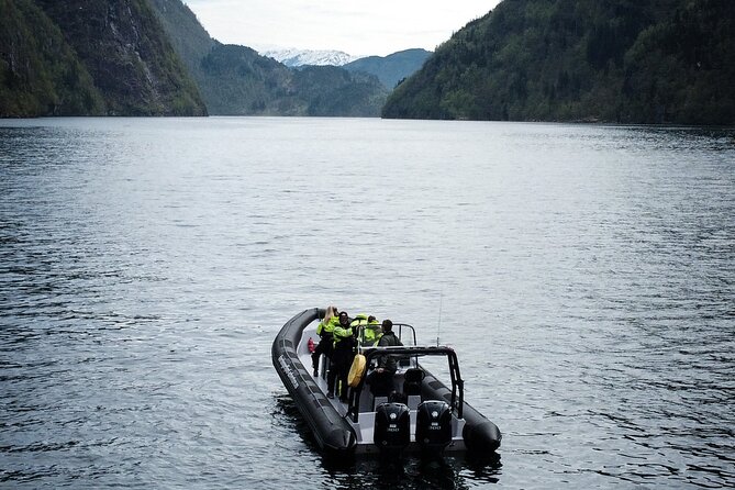 Scenic RIB adventure to Hardangerfjord & Fyksesund from Øystese - Who will get the most from this 90-minute trip