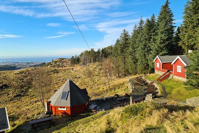 Scenic tour to Steinsfjellet, locals at Kringsjå & Rising Tide - Why this Haugesund outing feels different