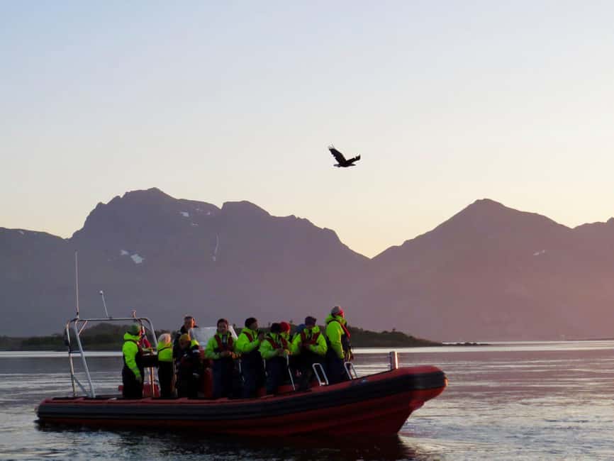 Sea Eagle/Nature Safari - Leaving Henningsvær for sea-eagle country