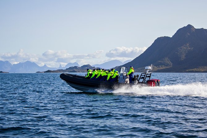 Sea Eagle Safari from Svolvær to Trollfjorden - Leaving XXLofoten at Joh. E. Paulsens gate 9