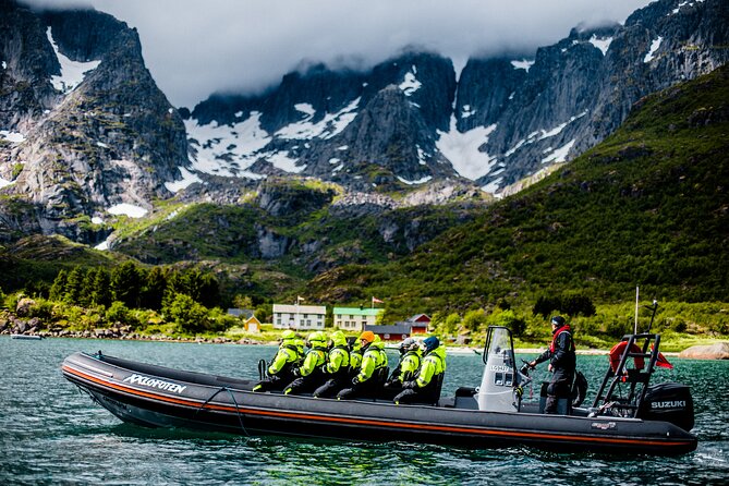 Sea Eagle Safari from Svolvær to Trollfjorden - How much value do you get for $156.56?